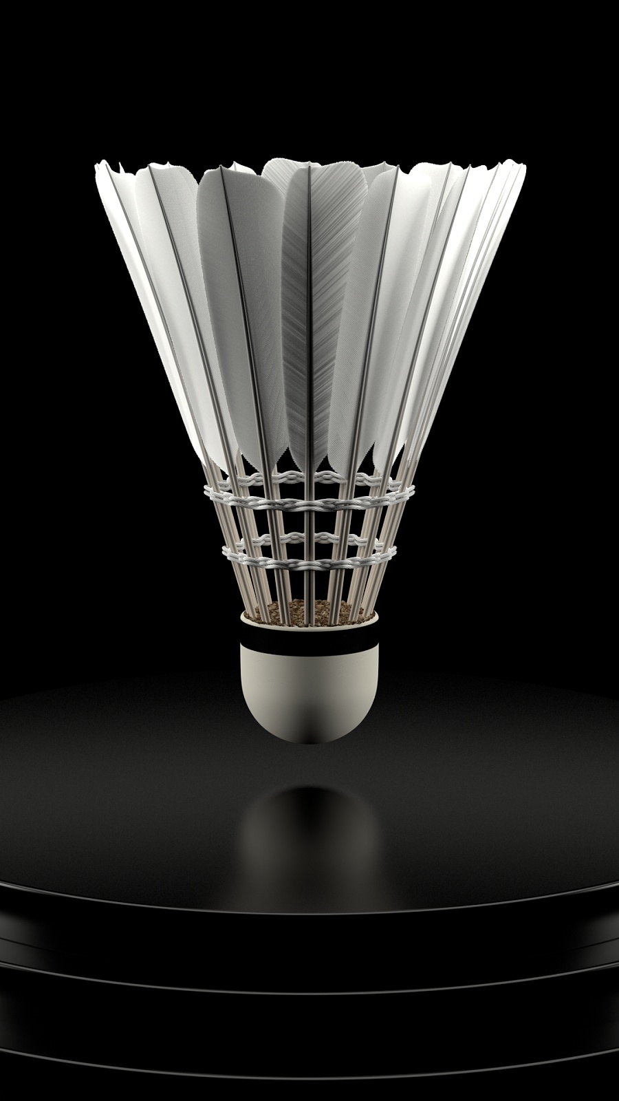 以稳定的枪 以稳定的枪